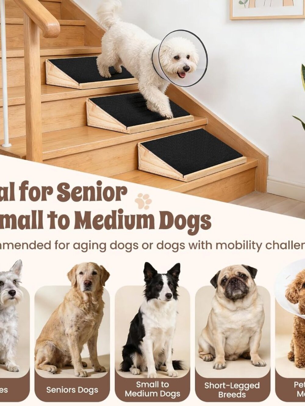 3-Pack Stair Ramp for Senior Dogs - Picture 6 of 6